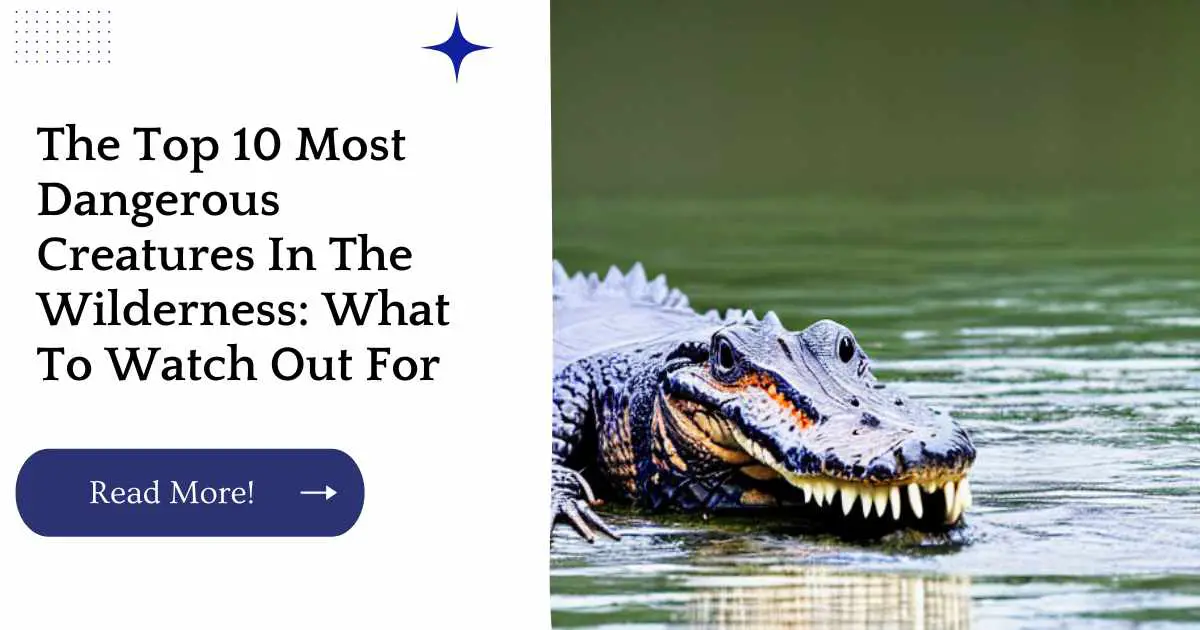 The Top 10 Most Dangerous Creatures In The Wilderness: What To Watch Out For