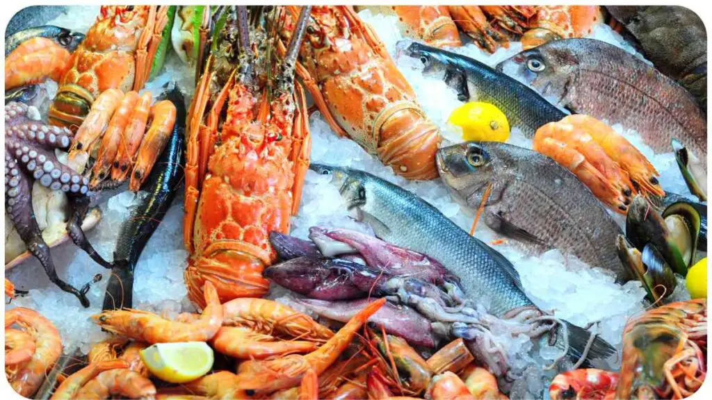 a bunch of different types of seafood on display