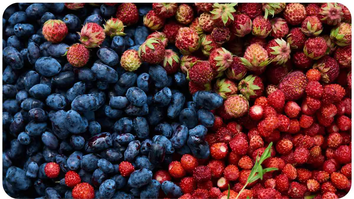 Wild Berries: Troubleshooting Which are Safe to Eat